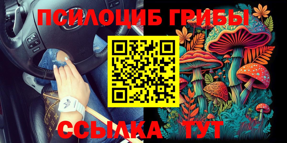 Галлюциногенные грибы Cubensis Чернушка